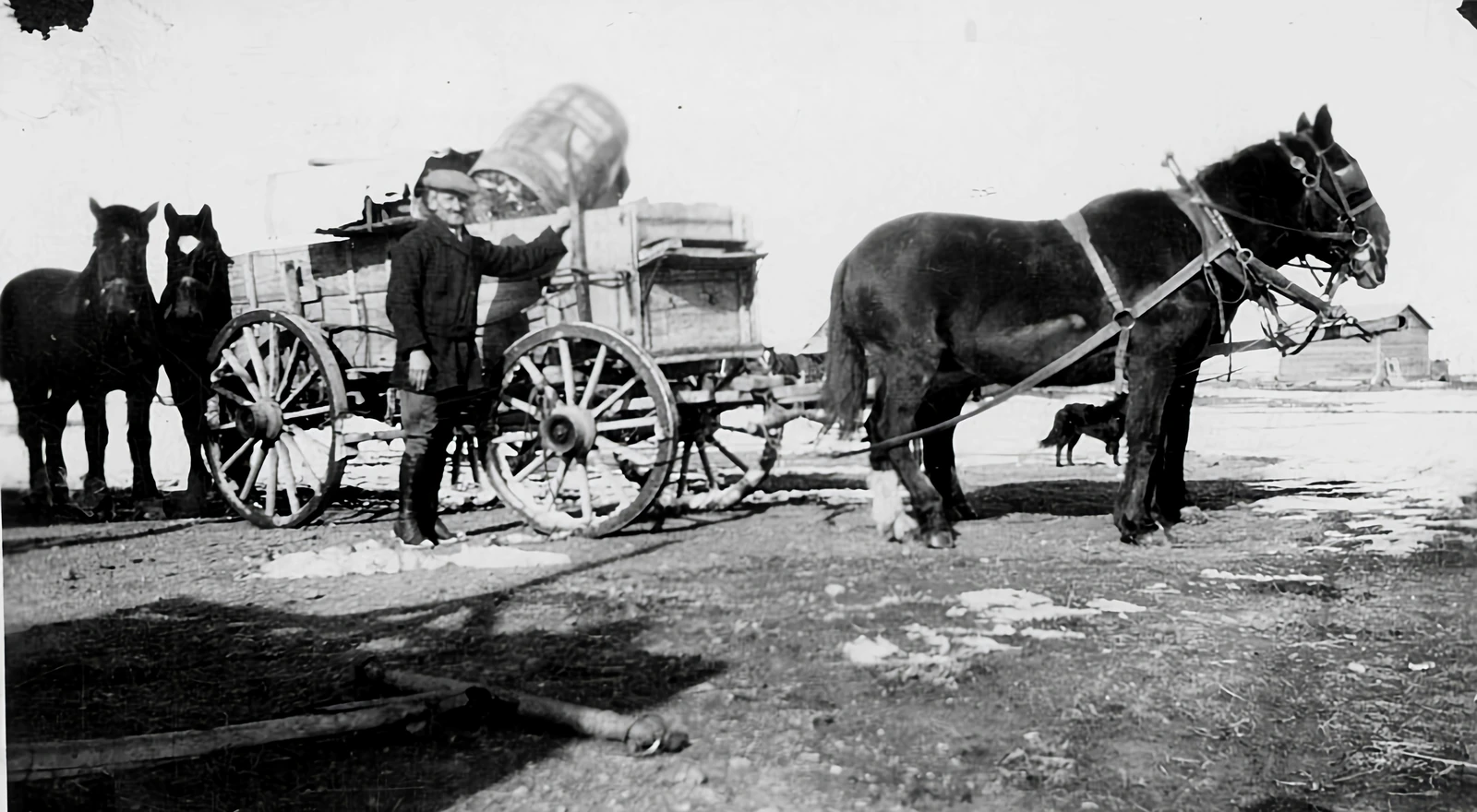 Historic dray cart moving freight